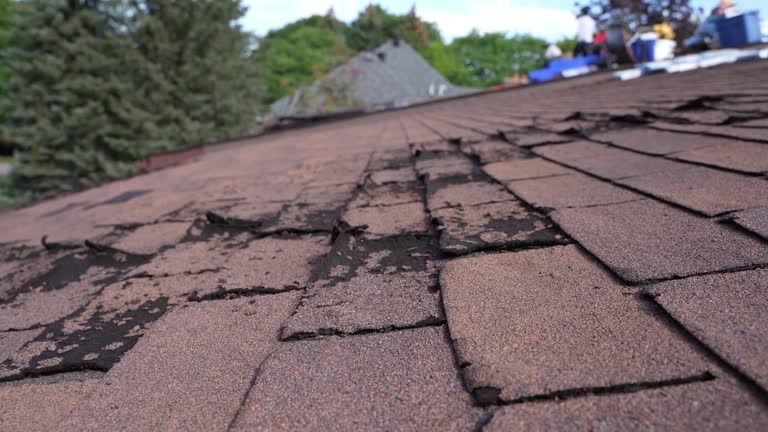 Best Roof Coating and Sealing  in Prosper, TX