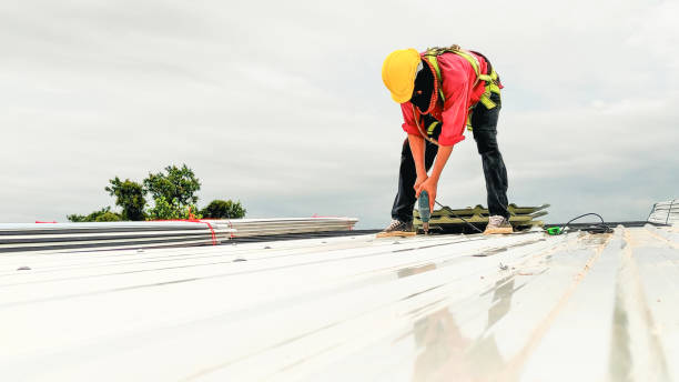 Steel Roofing in Prosper, TX