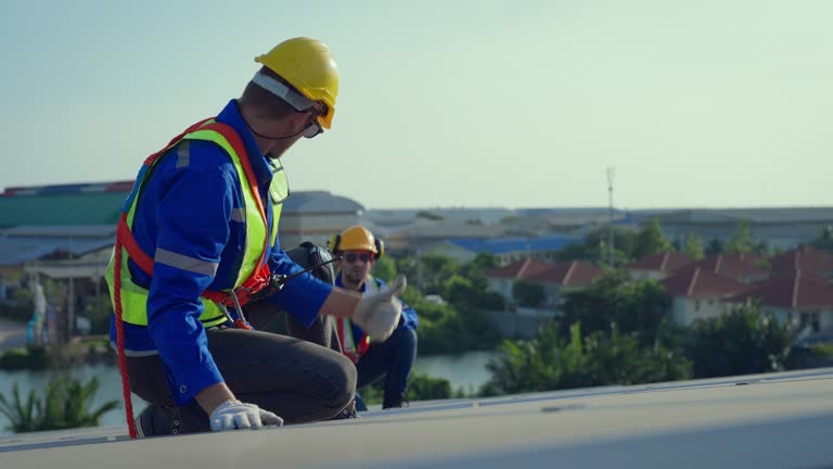 Best Roof Moss and Algae Removal  in Prosper, TX